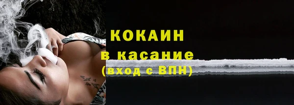 ГАЛЛЮЦИНОГЕННЫЕ ГРИБЫ Инта