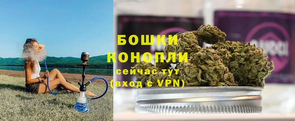 ГАЛЛЮЦИНОГЕННЫЕ ГРИБЫ Инта