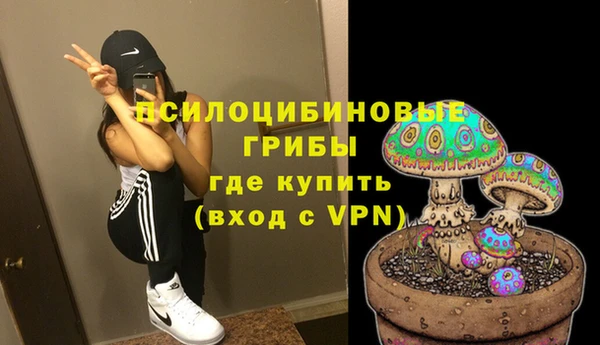 ГАЛЛЮЦИНОГЕННЫЕ ГРИБЫ Инта