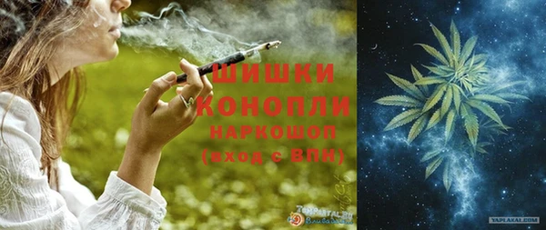 ГАЛЛЮЦИНОГЕННЫЕ ГРИБЫ Инта