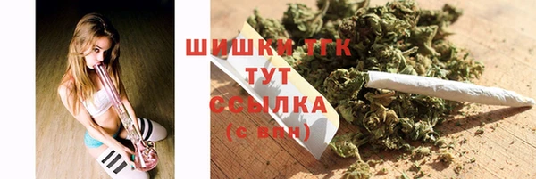 ГАЛЛЮЦИНОГЕННЫЕ ГРИБЫ Инта