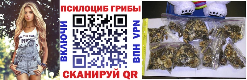 Купить где  Далматово  Галлюциногенные грибы GOLDEN TEACHER 